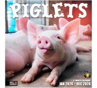 RED EMBER Porcinets Calendrier mural 2026 12 mois | 30,5 x 61 cm ouvert | Papier épais et robuste | Cadeau | Calendrier 2026