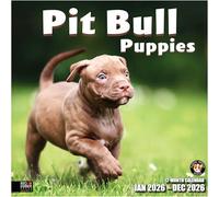 RED EMBER Select - Calendrier mural 2026 Pit Bull Puppies 12 mois | 30,5 x 61 cm ouvert | Papier épais et robuste | Cadeau | Calendrier 2026
