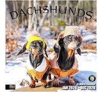 RED EMBER Select - Calendrier mural 2026 teckels 12 mois | 30,5 x 61 cm ouvert | Papier épais et robuste | Cadeau | Calendrier 2026