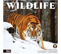 RED EMBER Wildlife Calendrier mural 2026 12 mois | 30,5 x 61 cm ouvert | Papier épais et robuste | Cadeau | Calendrier 2026