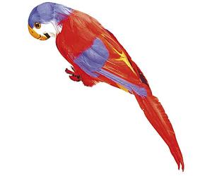 Red Feathered Parrot -