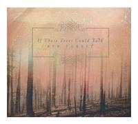 If These Trees Could Talk – Red Forest – CD – NEUF