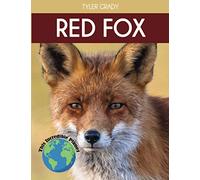 Red Fox: Fascinating Animal Facts for Kids