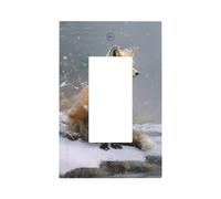 Red Fox Sits by The River Plaque murale pour interrupteur mural à bascule simple 1 gang Décoration de prise de courant pour la maison, la cuisine, la salle de bain