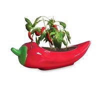 Red Hot Chili Planter - Pot de fleurs en céramique émaillée pour le jardinage d'intérieur - Cadeau amusant et épicé pour les parents de plantes et les amateurs de piment - Pot d'intérieur unique pour