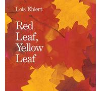 Lois Ehlert – Red Leaf, Yellow Leaf – Collage aquarelle sur arbres et racines (4-8 ans)