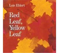 Lois Ehlert – Red Leaf, Yellow Leaf – Collage aquarelle sur arbres et racines (4-8 ans)