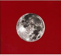 Ani DiFranco - Red Letter Year