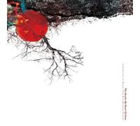 Red Mountain Music - This Breaks My Heart of Stone