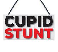 RED OCEAN Plaque à suspendre avec inscription « Cupid Stunt » - Pour maison, bar, bar, pub, amitié