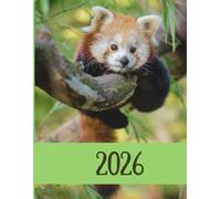 Red Panda 2026 A4 Desktop Diary With Week To Page: Bear Weekly Organiser For Business or Home