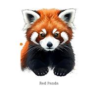 Red Panda: Notebook, 120 blank lined pages, 6 by 9
