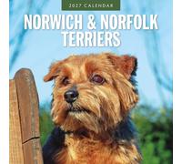 Red Robin Calendrier mural 2027 Norwich & Norfolk Terriers | 30,5 x 30,5 cm | Calendrier de 12 mois à suspendre, papier épais et robuste de qualité supérieure, notes lignées et zone de tâches