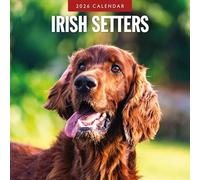 Red Robin Calendrier mural mensuel 2026 Irlandais Setters | 30,5 x 61 cm ouvert | Papier épais et robuste de qualité supérieure | Calendrier de 12 mois à suspendre | Notes lignées et zone de choses à