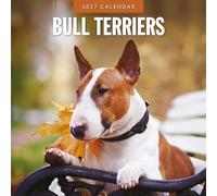 Red Robin Calendrier mural mensuel Bull Terriers 2027 30,5 x 30,5 cm | Calendrier de 12 mois à suspendre, papier épais et robuste de qualité supérieure, notes lignées et zone de tâches