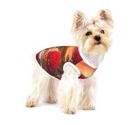 Red Roses at Sunset Gilet pour chien en coton respirant confortable et élégant Taille M