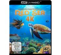 RED SEA (4K UHD) - MAYER,TIMO JOH. ULTRA HD BLU-RAY NEUF