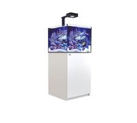 RED SEA-Aquarium eau de mer avec un meuble coloris blanc certifié FSC Reefer™ Deluxe XL 200 Red Sea - 60 x 57,5 x 140 cm