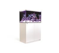 RED SEA-Aquarium eau de mer avec un meuble coloris blanc Reefer™ 250 Red Sea - 90 x 50 x 140 cm