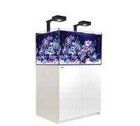 RED SEA-Aquarium eau de mer avec un meuble coloris blanc Reefer™ Deluxe XL 300 Red Sea - 90 x 57,5 x 142 cm