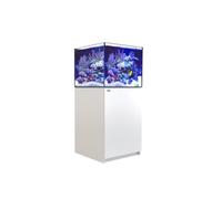 RED SEA-Aquarium eau de mer avec un meuble coloris blanc Reefer™ XL 200 Red Sea - 60 x 57,5 x 140 cm