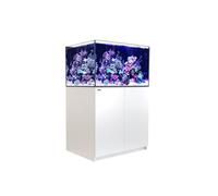 RED SEA-Aquarium eau de mer avec un meuble coloris blanc Reefer™ XL 300 Red Sea - 90 x 57,5 x 142 cm