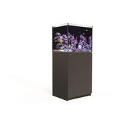 RED SEA-Aquarium eau de mer avec un meuble coloris noir Reefer™ 170 Red Sea - 60 x 50 x 137 cm