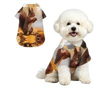 Red Squirrel M Chemise hawaïenne pour petits chiens - Tenue d'été mignonne pour la plage - Vêtement doux et respirant avec boutons