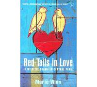 Red-Tails In Love: A Wildlife Drama In Central Park