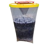 Red Top - Lot de 5 attrape-mouche