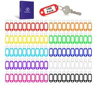 Redamancy 100 Pièces Étiquettes avec Porte Clé 10 Couleurs, Porte Clef Etiquette en Plastique, Étiquette Inscriptibles pour Clés de Maison, Étiquettes à Bagages de Nom D'animal de Compagnie
