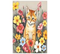 RedCats: Notebook with dots on the pages