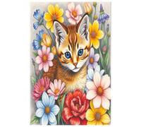 RedCats: Notebook with dots on the pages