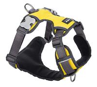 RedDingo Harnais Rembourre pour Chien Jaune Taille XS