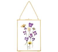 REDHUGO Cadres pour fleurs pressées, cadres flottants en verre pour afficher des spécimens de plantes séchées, photos, cadre photo en laiton avec chaîne suspendue, double verre clair, rectangle