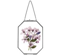 REDHUGO Cadres pour fleurs pressées, cadres flottants en verre pour présenter des spécimens de plantes séchées et des photos, cadre photo en laiton avec chaîne suspendue, double verre clair, octogonal