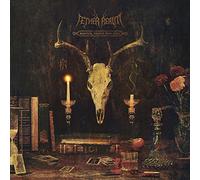 Redneck Vikings from Hell by Æther Realm [Audio CD] NEUF