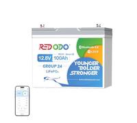 Redodo 12V 100Ah Group24 Bluetooth Batterie LiFePO4,Batterie Lithium Protection BMS 100A Améliorée pour l'Arrêt en Cas de Basse Température,Petite Batterie LiFePO4 pour Camping-Cars,Camionnettes