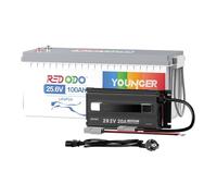 Redodo 24V 100Ah Batterie LiFePO4+24V 20A Chargeur BMS 100A Intégré Puissance de Charge Maximale de 2560W 4000-15000 Cycles pour Camping-Cars Stockage Solaire Navigation
