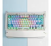 REDQIN X PIIFOX - Touches Pudding PBT brillantes à travers les touches ASA Profil ASA 117 touches personnalisées Compatibilité universelle pour clavier ROG Azoth/Scope II (terminal binaire - Blanc)