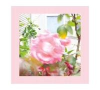 Reds. Pinks And Purples - SUMMER AT LAND'S END