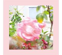 Reds, Pinks and Purples,the - Summer at Land'S End (Classic Black Vinyl)