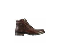Redskins Boots Ch Eternity (Chataigne)