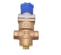 Réducteur de pression à vapeur vissé RD-40 DN15 DN20 DN25(DN20)