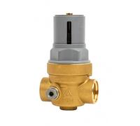 Réducteur de pression compensé à membrane FF G 3/4” Rinox Infinity RBM