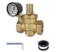 Réducteur de pression d'eau 1" avec manomètre : réducteur de pression d'eau HOMURY DN25, régulateur de pression d'eau réglable, réducteur de pression d'eau, chaudière, réducteur de pression en 100