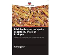 Réduire les pertes après récolte du maïs en Éthiopie