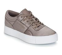 Baskets basses femmes Reebok Classic WORKOUT LO FVS TXT Gris 38