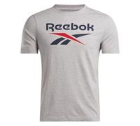 Reebok Identity BIG Logo Tee T-Shirt, MGREYH/VECNAV/VECRED, L Men's