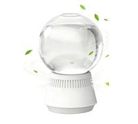 Reed Diffuser Set For Home - Long-Lasting Natural Fragrance Oil Diffuser avec des bâtons premiers, Essential Oil Room Freshener For Bedroom, Bathroom & SPA, Aesthetic Glass Home Decor | 100 ml / 3,4